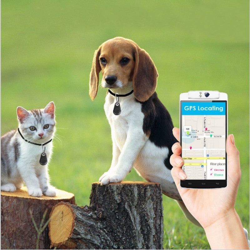 Dog and cat on logs with a hand holding a phone displaying a GPS app.