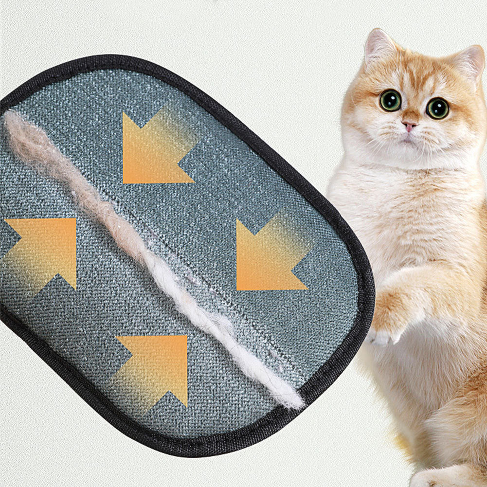 Cat toy with a textured surface and a cat sitting next to it on a light background