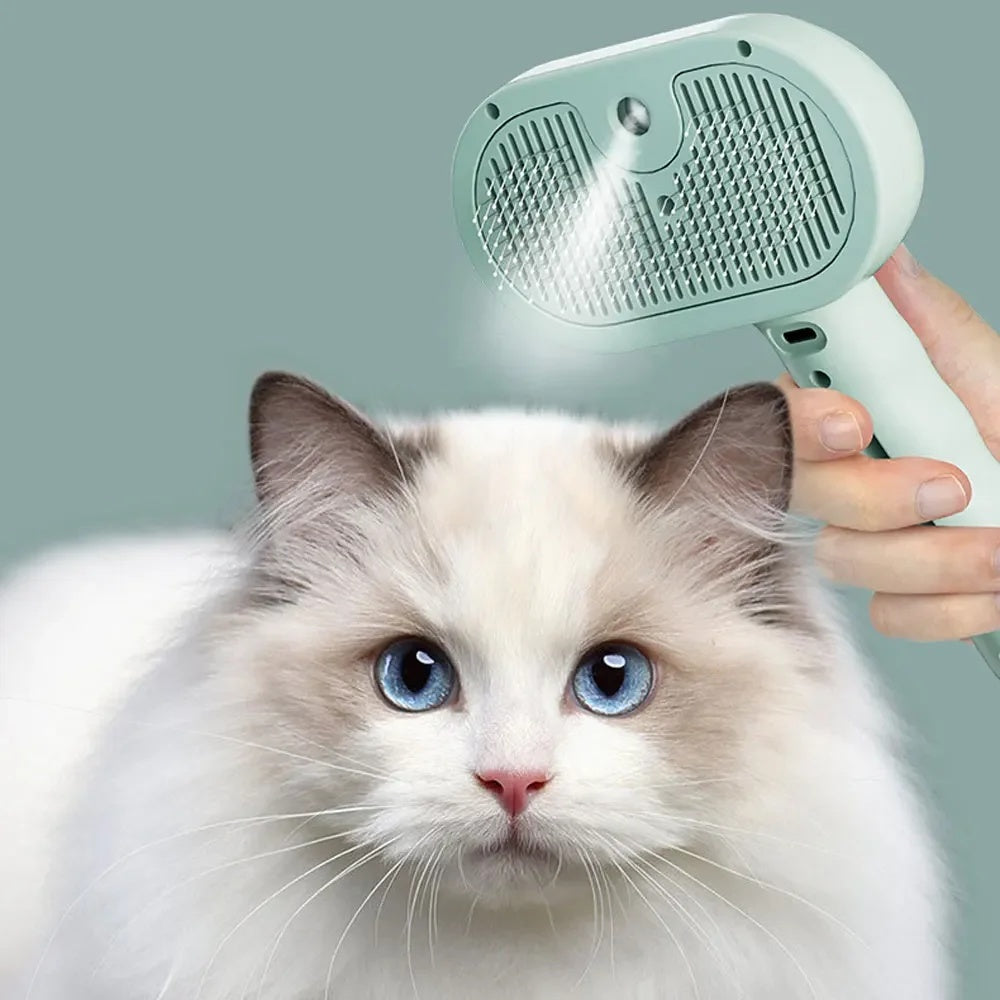 Cat being groomed with a handheld grooming tool against a plain background